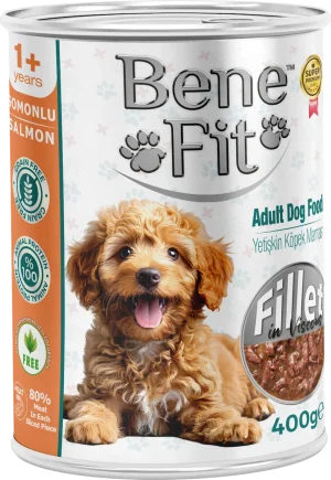 BeneFit Yetişkin Köpek Konservesi Somonlu – Fileto Parçalı