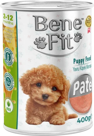 BeneFit Yavru Köpek Konservesi Peynirli Kuzulu – Pate
