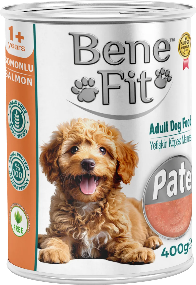 BeneFit Yetişkin Köpek Konservesi Somonlu – Pate